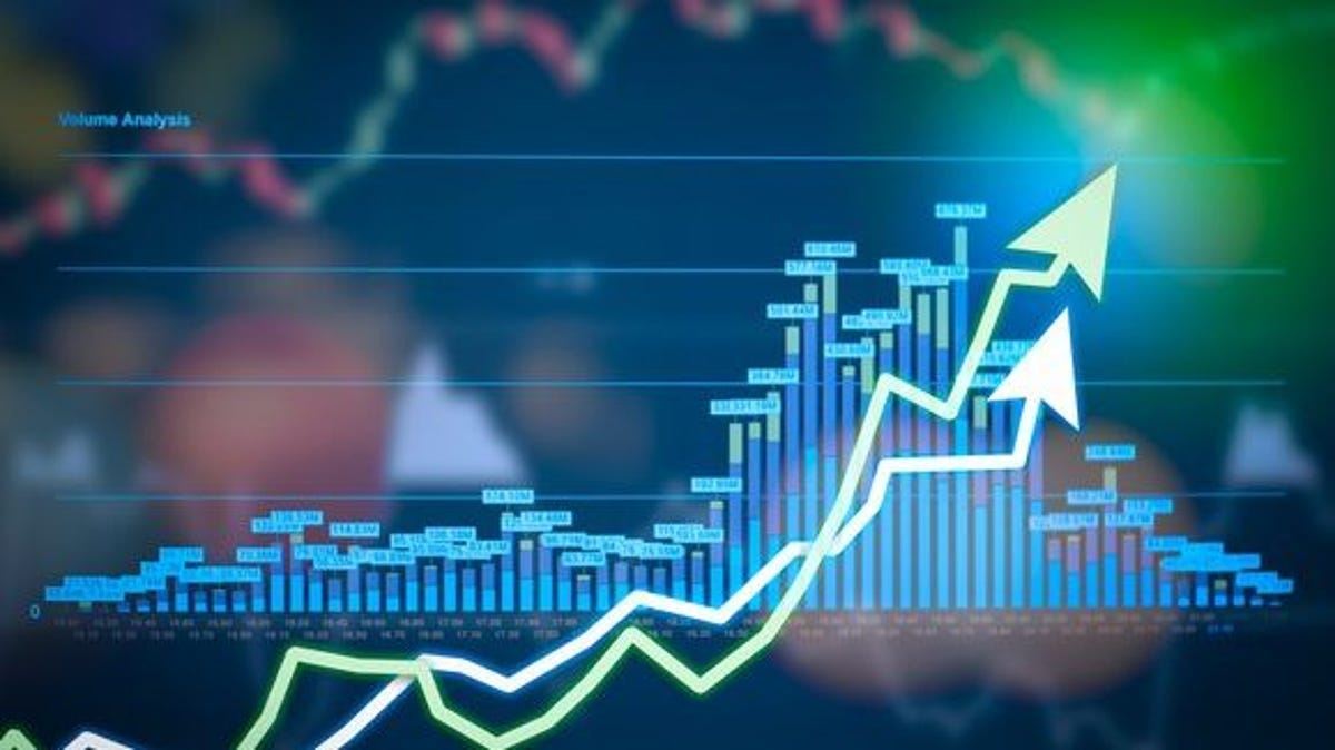 Beginner's Guide to Investment Fundamentals